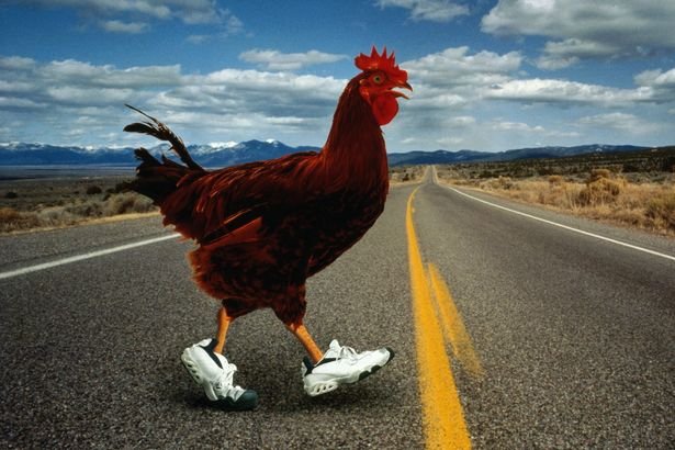 France - chicken road