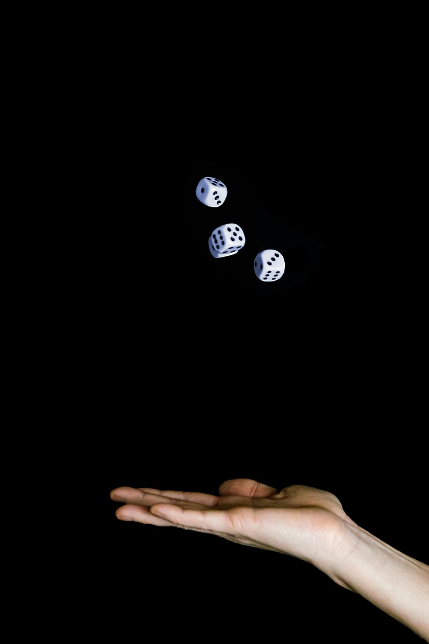 die webseite die webseite